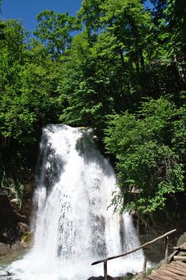 Прикрепленное изображение: DSC_0236.jpg